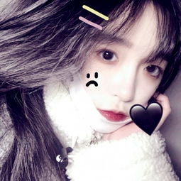 pc蛋蛋官方网站截图